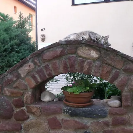 Aniko Appartamento Hévíz