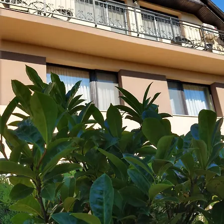 Apartmán Aniko *