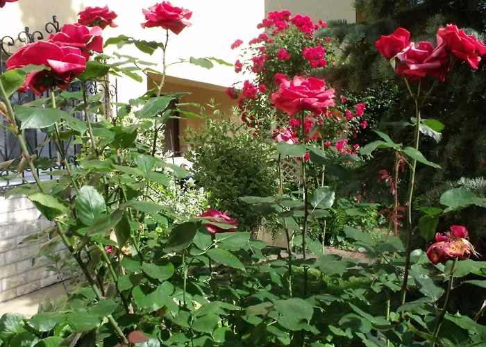 Aniko Apartmán Hévíz